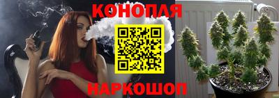 mdma Сланцы