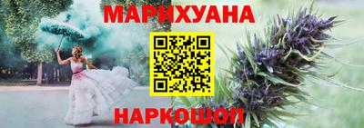 сатива Славянск-на-Кубани