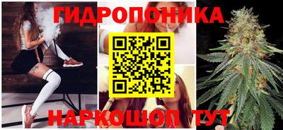 mdma Сланцы