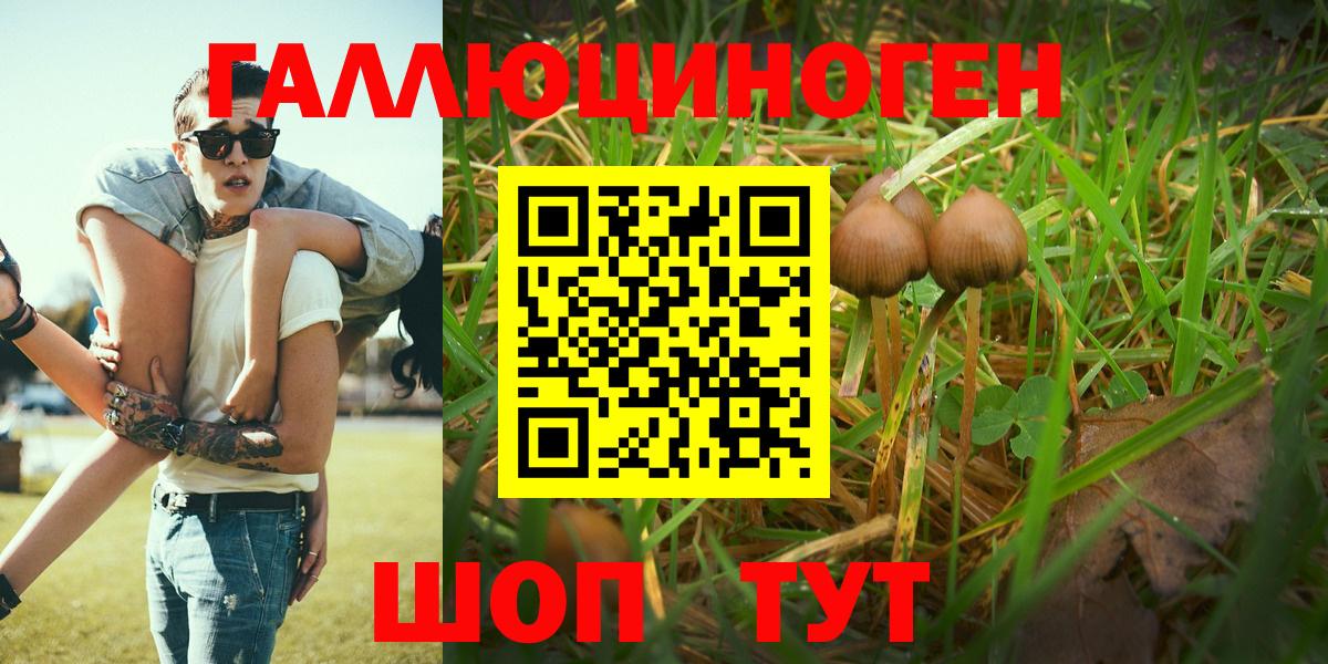 Сафоново  наркотики  Вход с VPN  Псилоцибиновые грибы Magic Shrooms 