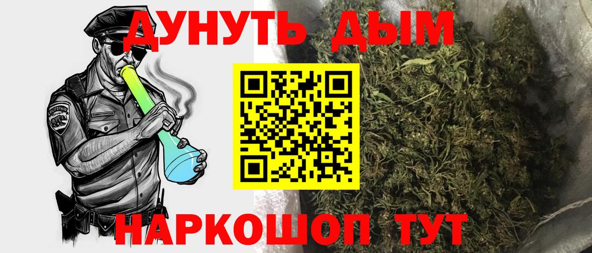 Конопля сатива Сафоново
